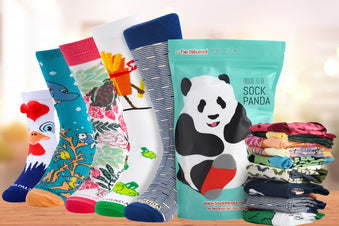 Sock Panda Kids Socks (Ages 3-7)  -  Two Pairs Each Month