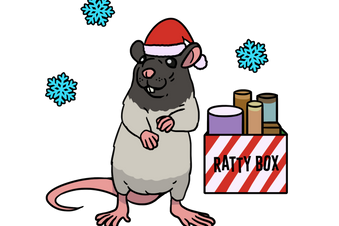 Ratty Box